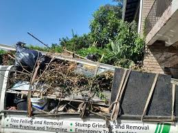 Best Construction Debris Removal  in Lakeview, OR